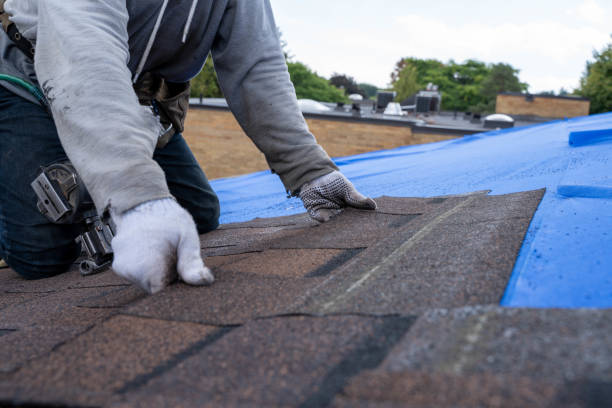 Professional Roofing Contractor in Kelseyville, CA